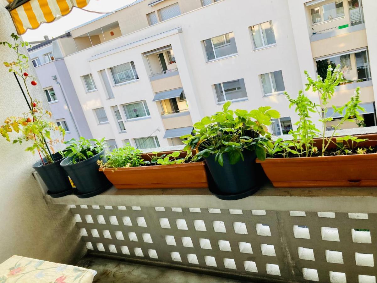 In The Heart Of Basel, Cozy And Lovely With A Balcony Near The Rhine