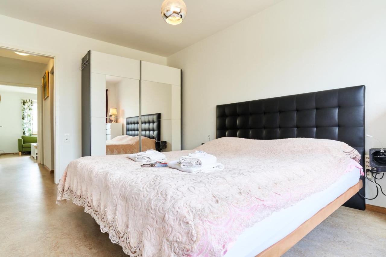 Appartamento In The Heart Of Basel, Cozy And Lovely With A Balcony Near The Rhine